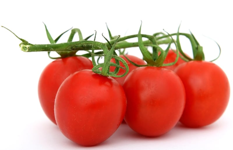 Farm Fresh Produce