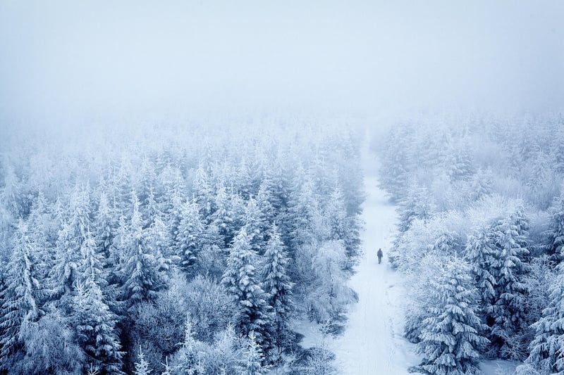 Wilderness Adventure